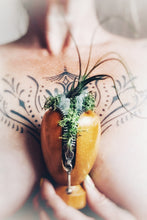 Charger l'image dans la galerie, Kinky Magie terrarium