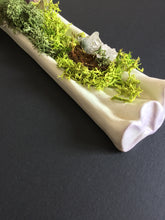 Charger l'image dans la galerie, Tu goûtes le jardin d'Eden