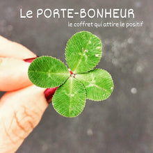Charger l'image dans la galerie, Le Porte-BONHEUR, le coffret qui attire le positif